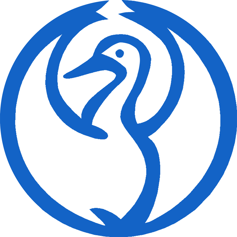 Core Software Design Logo